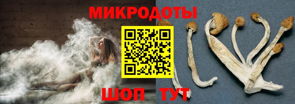 Псилоцибиновые грибы GOLDEN TEACHER  Вход с VPN  Гудермес 